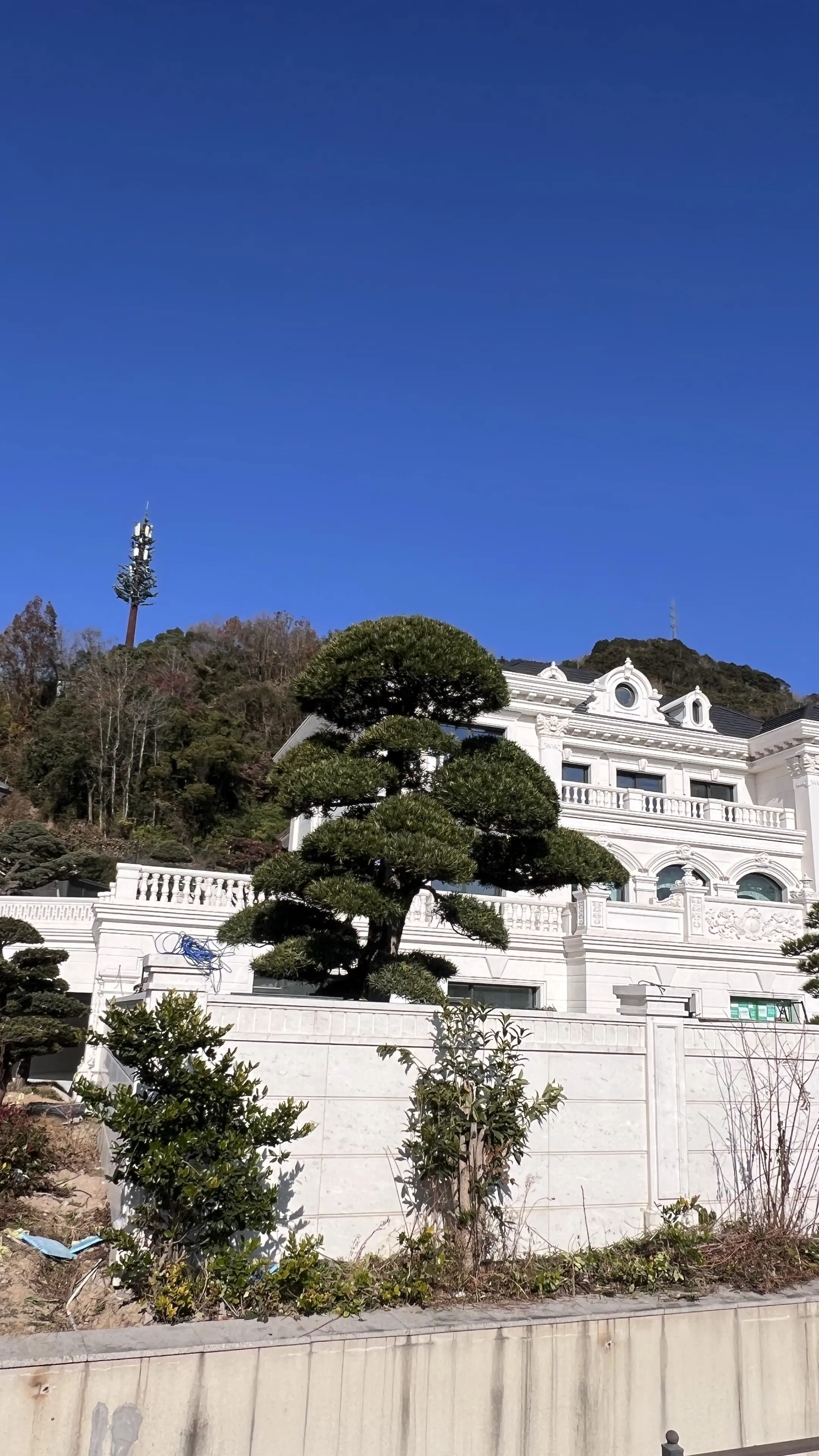 传世大宅。庄园别墅