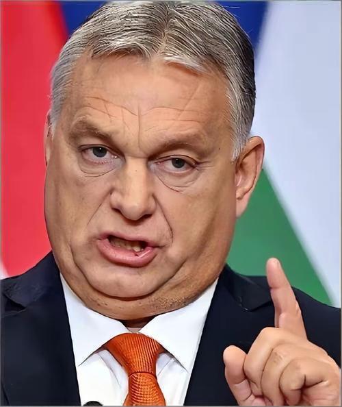 卸任前最后通牒！
欧尔班“石油换贷款”，是强硬还是政治绝唱？
 
大选失利、即将