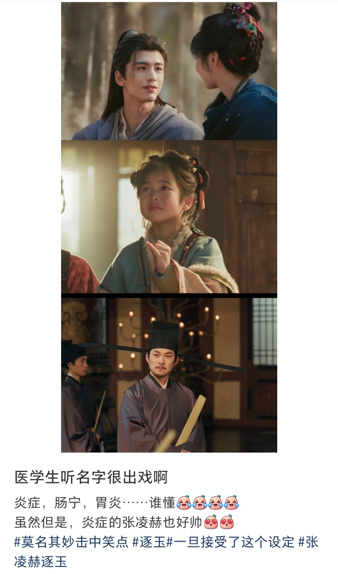 医学生眼里的逐玉 医学生眼里的《逐玉》：言正变炎症，长玉变肠愈，魏严变胃炎……咱