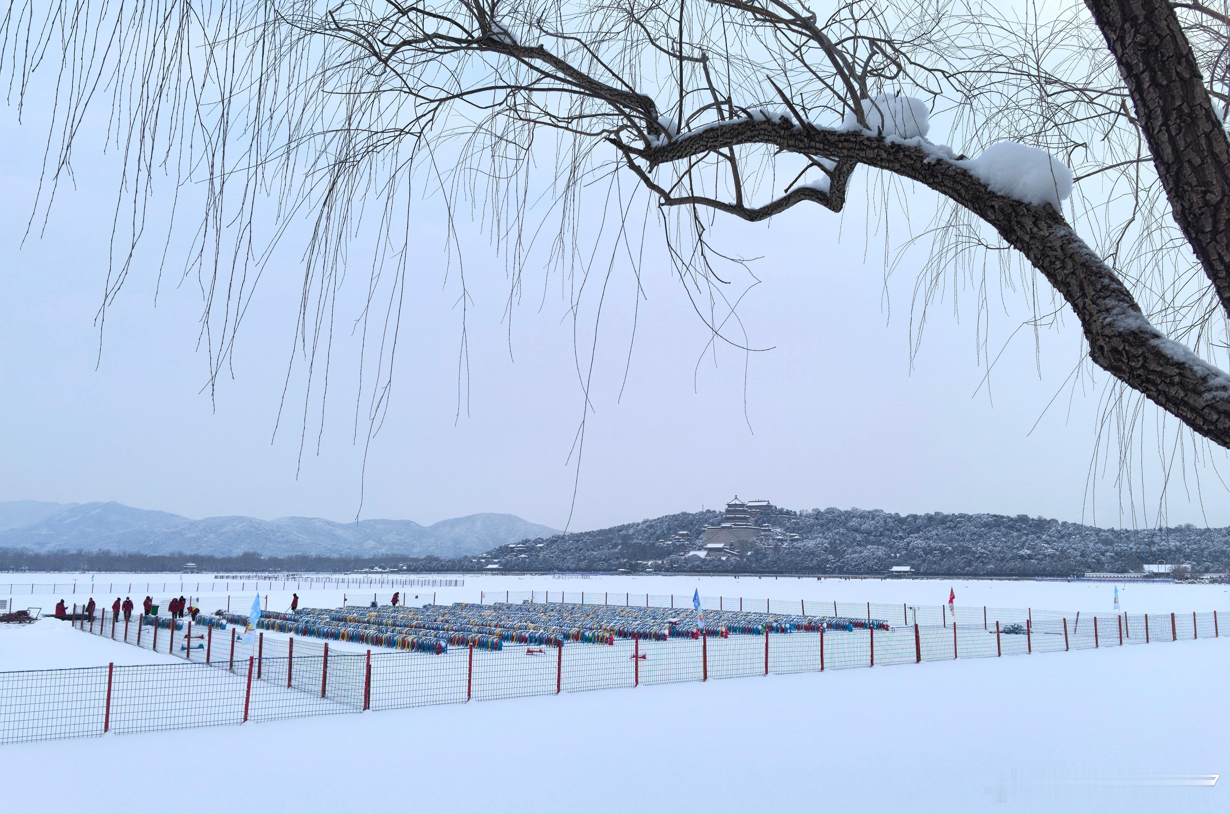 鹅毛大雪之后: 雪锁颐和，天地一片澄澈；北国寒威，铸就别样旖旎（2026.1.1