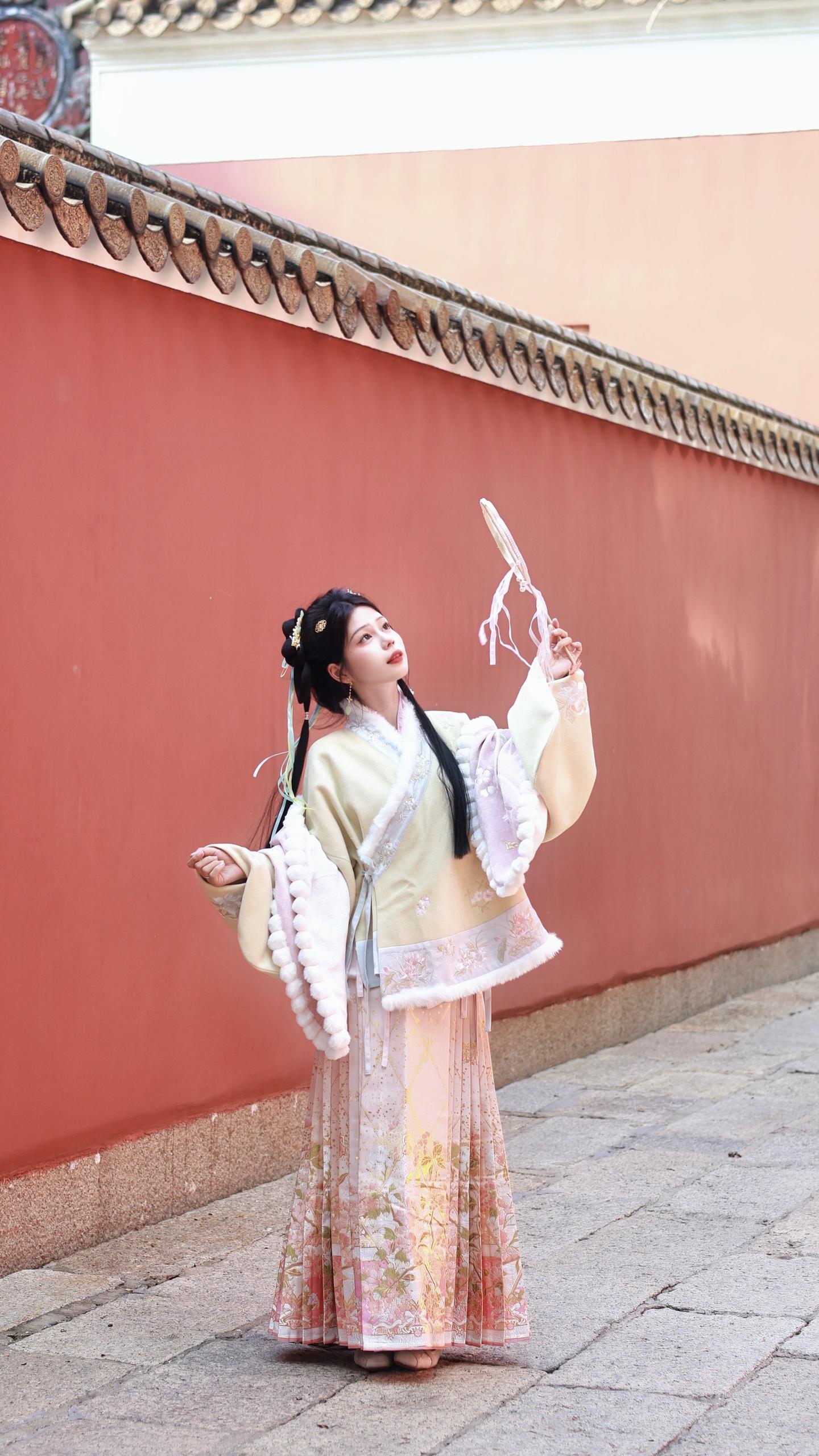 冉冉晨雾重，晖晖冬日微。