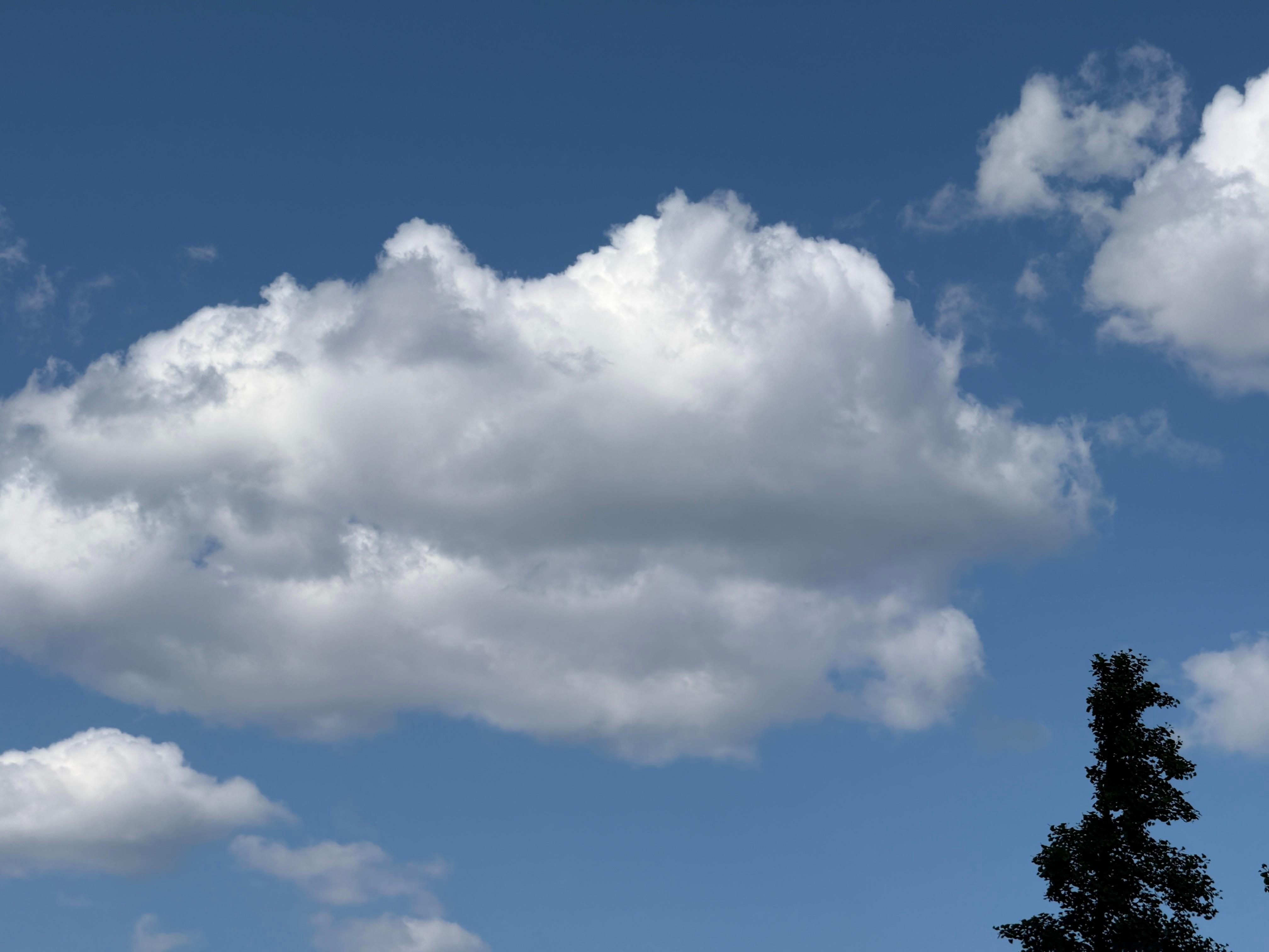 早上好铁粉宝宝们！我们10万粉抽手机/手表/耳机，快让你的好朋友们一起关注我啊！