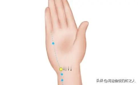 头面颈项部病症  
面口针合谷，眩晕配太冲;风池清头目，颞痛太阳攻。  鼻塞迎香