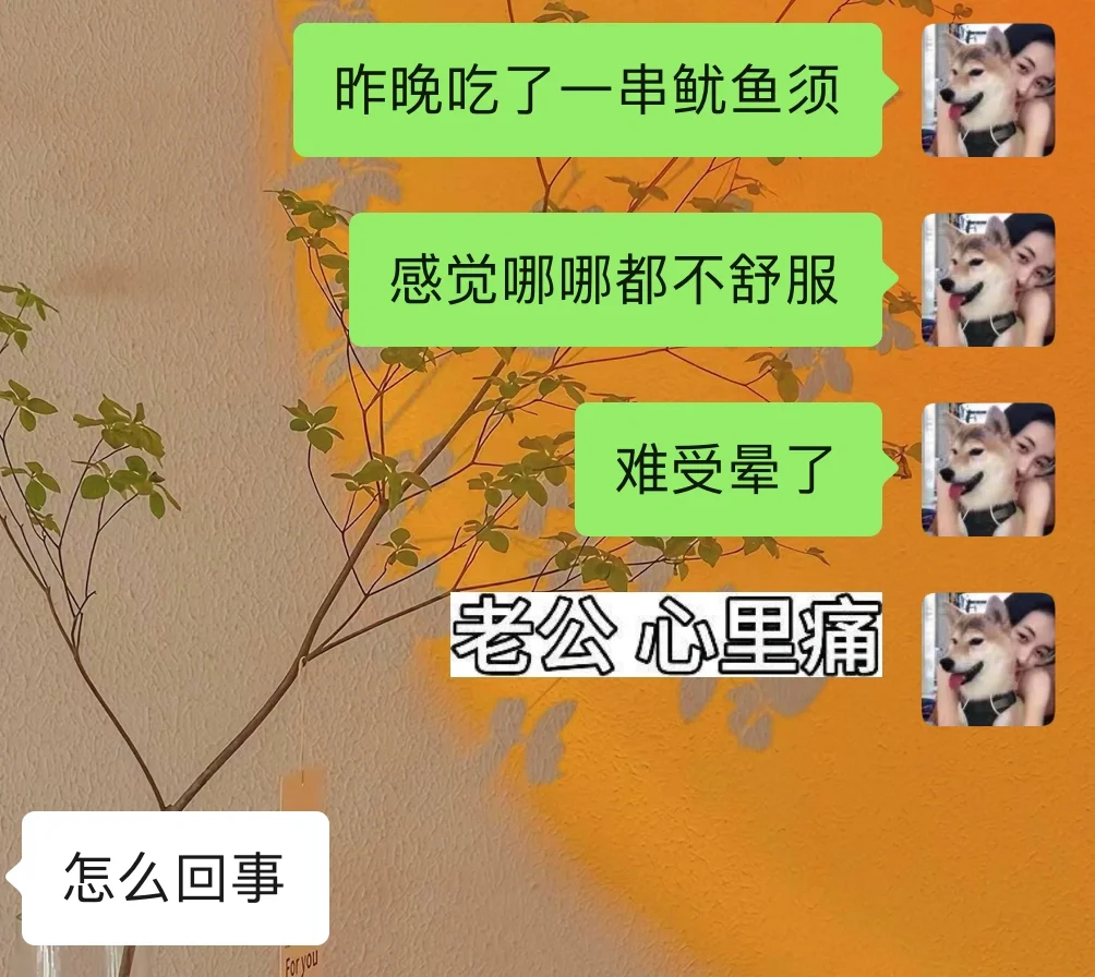 这个贱我必须犯