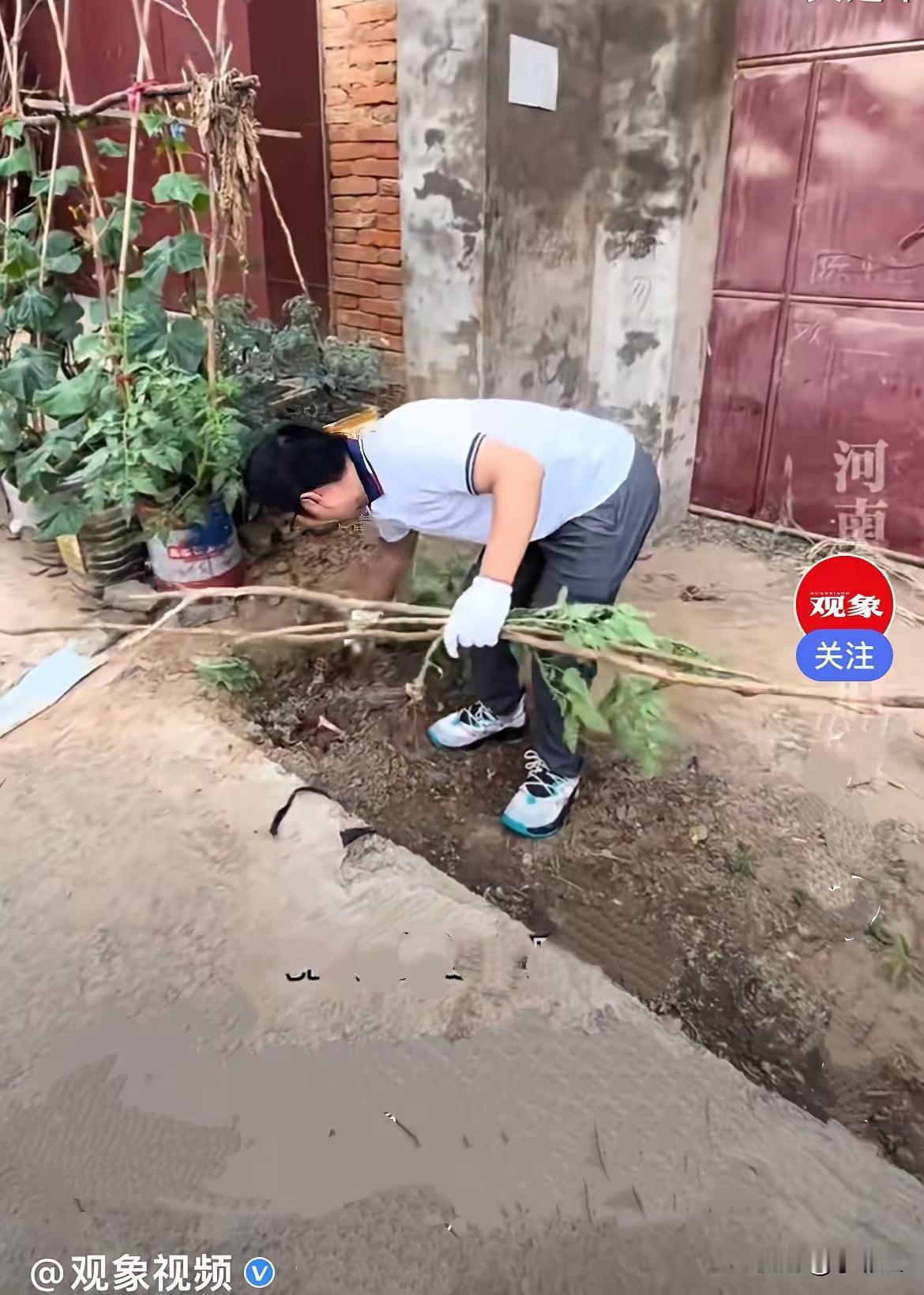 河南一男子因长期不在老家居住，家门口和院墙边被邻居种上了菜，男子一气之下就把菜全