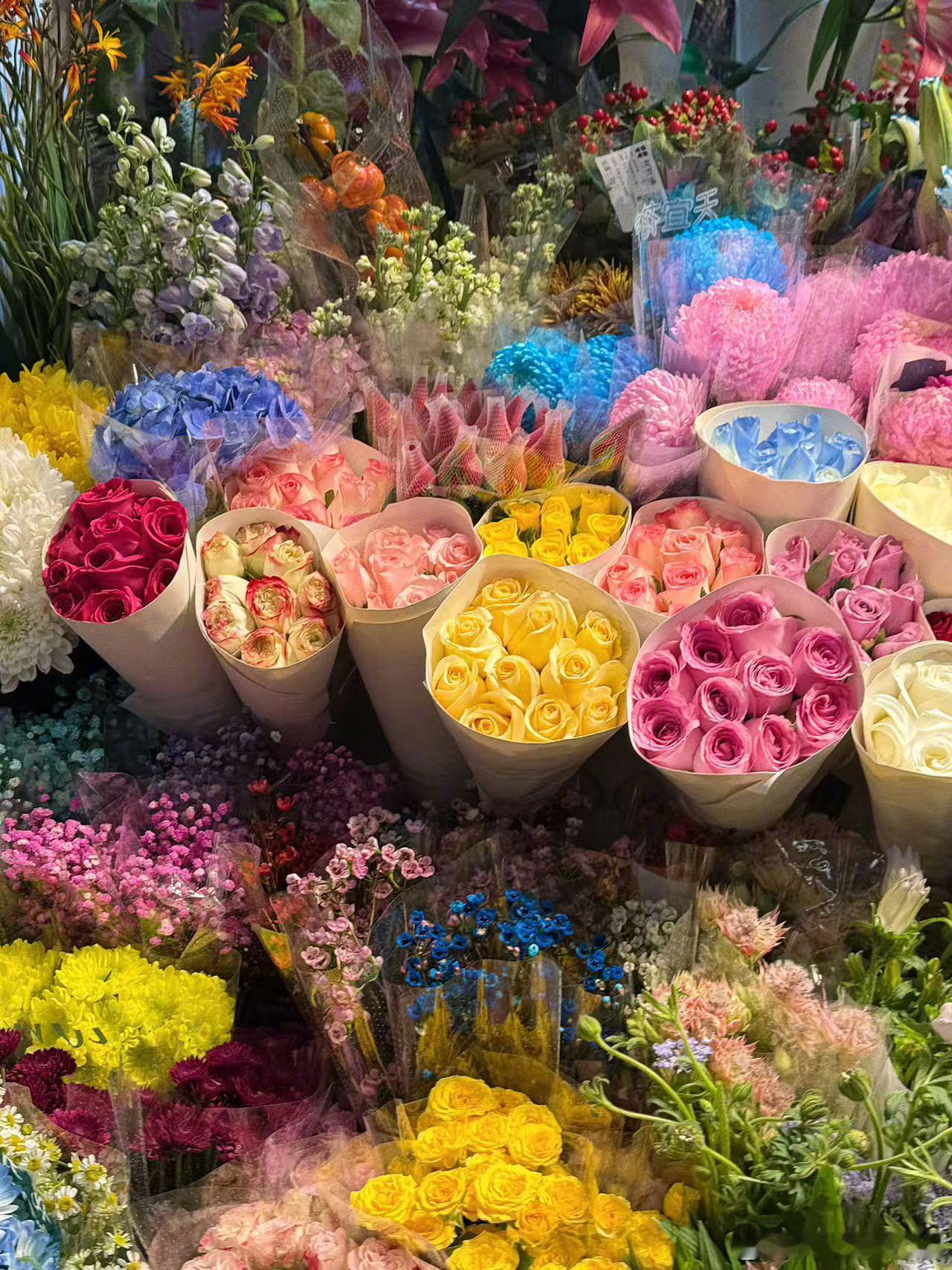 谭松韵丰富多彩的plog 谭松韵丰富多彩的plog来啦！美照、鲜花、美景，是有在