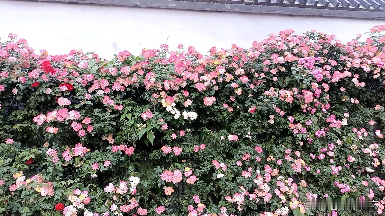 上联：浅浅深深河中水，有请下联浓浓淡淡画间墨。