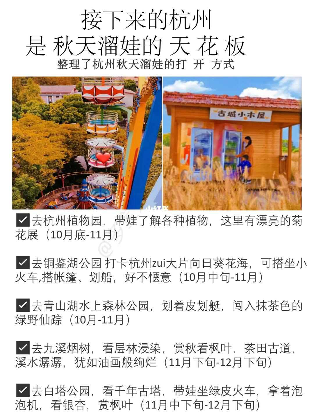 走了杭州99次‼️才整理的秋天旅游计划