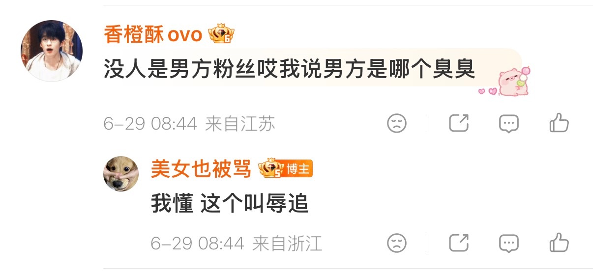 ：我懂 这个叫辱追 