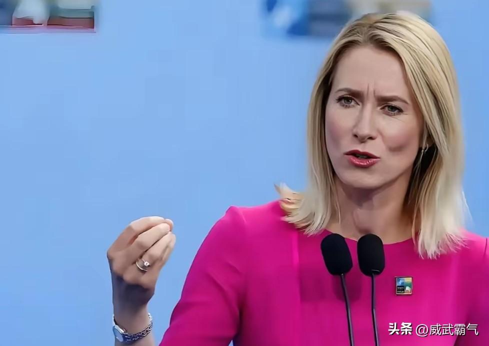 突发！美国国务卿卢比奥和欧盟外交策略高级代表卡拉斯发生激烈争吵。此次争吵事件发生