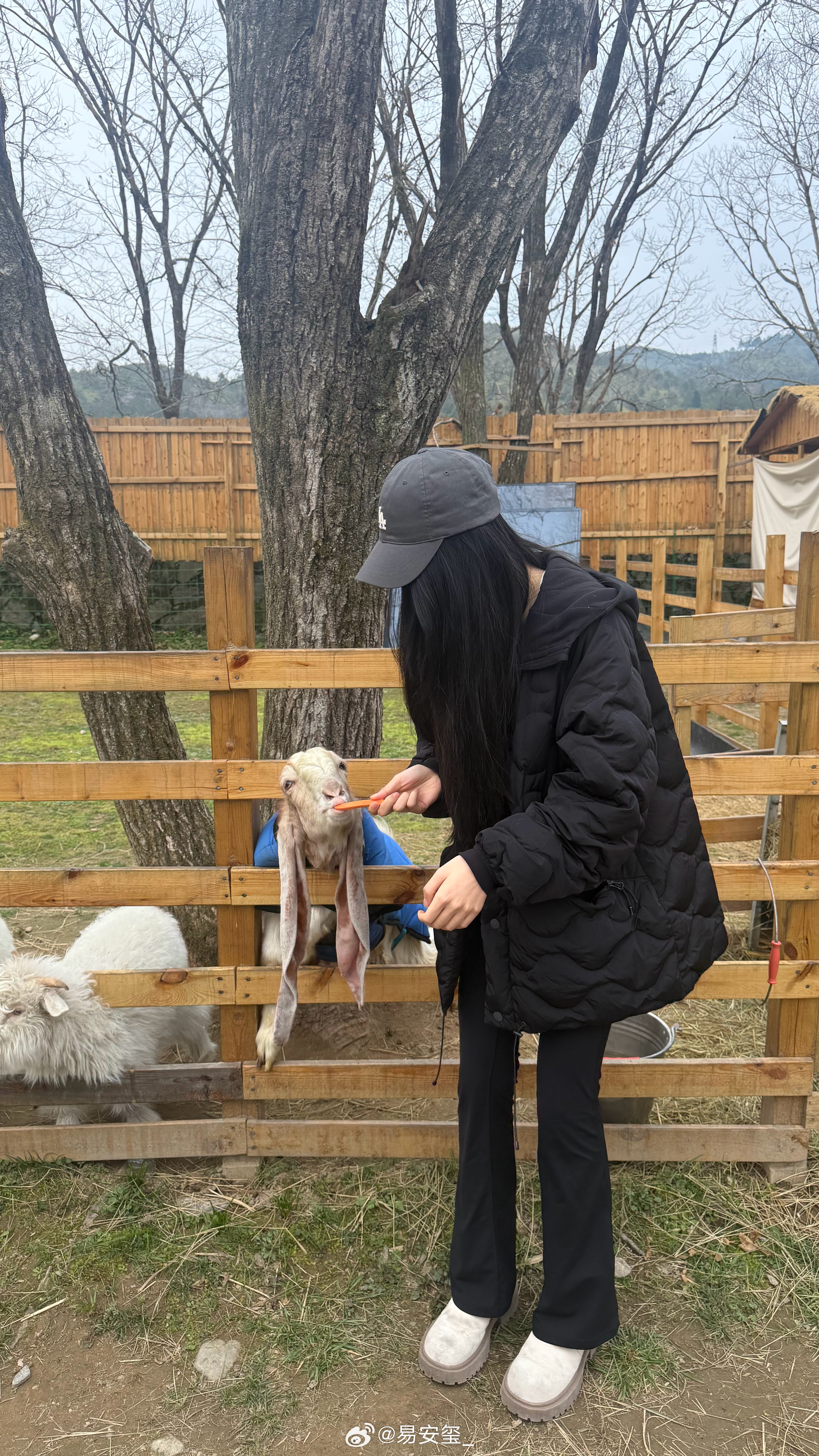 梦想是开农场！ 