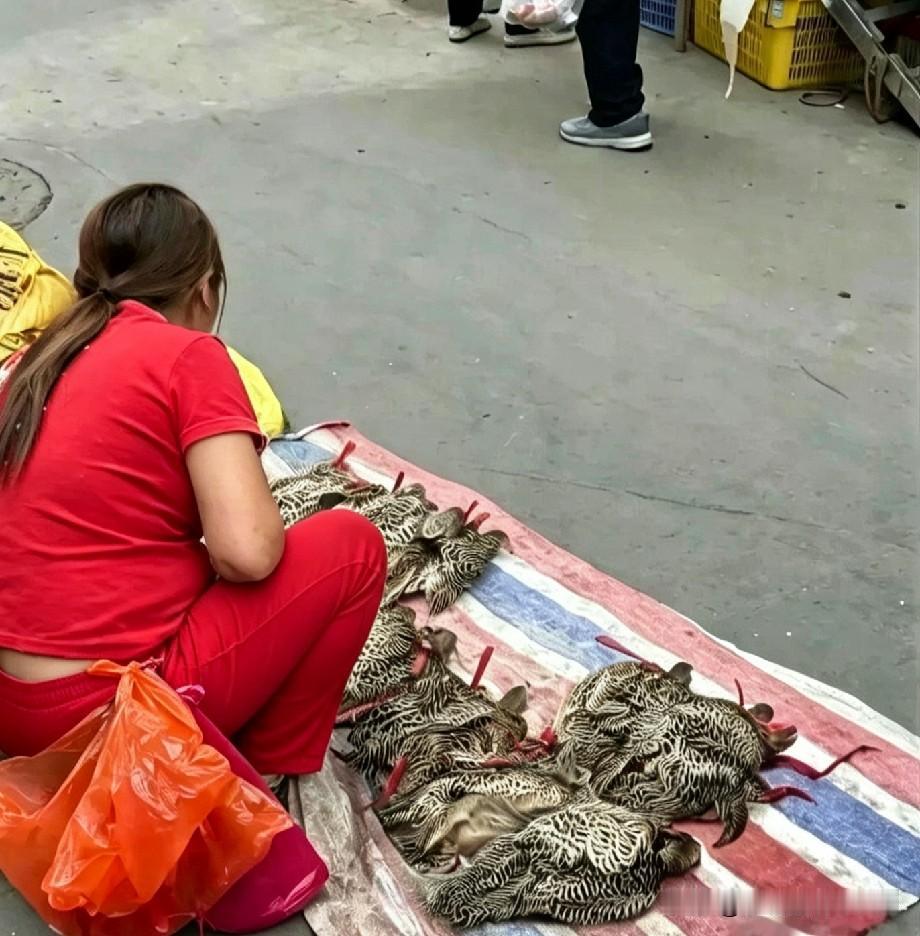 阿姨，您这是要干啥呀
“阿姨，您可太不当回事儿啦！这东西能随便卖吗？”
仔细一瞧