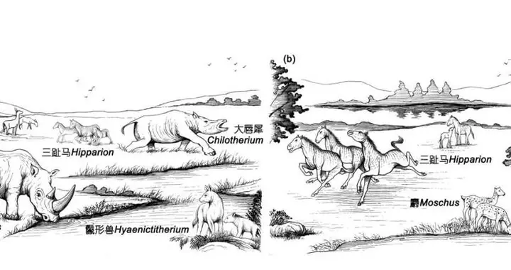 ?研究表明：水循环塑造新生代动物区系