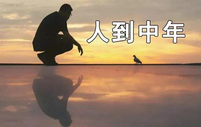 #记录我的2024#人生如四季，最好的活法，就是把握自己的春天。春夏朝气蓬勃，秋