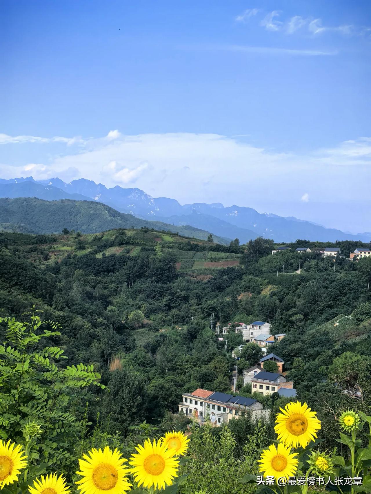 《蓝田山石门精舍》
一一王维
落日山水好，漾舟信归风。

玩奇不觉远，因以缘源穷
