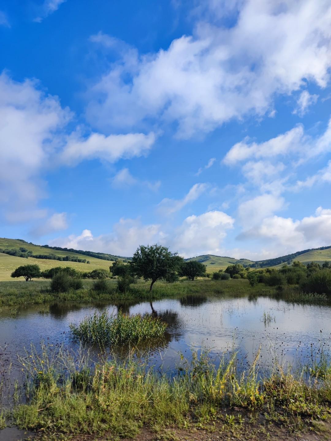 原来写头条动力十足、情绪高涨，
素材源源不断，
灵感随处可现，
最多的收益三百多