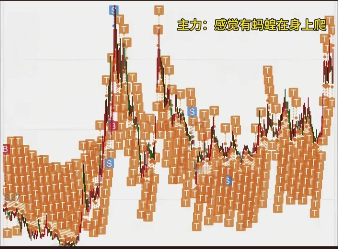 主力：怎么有种甩都甩不掉的感觉？