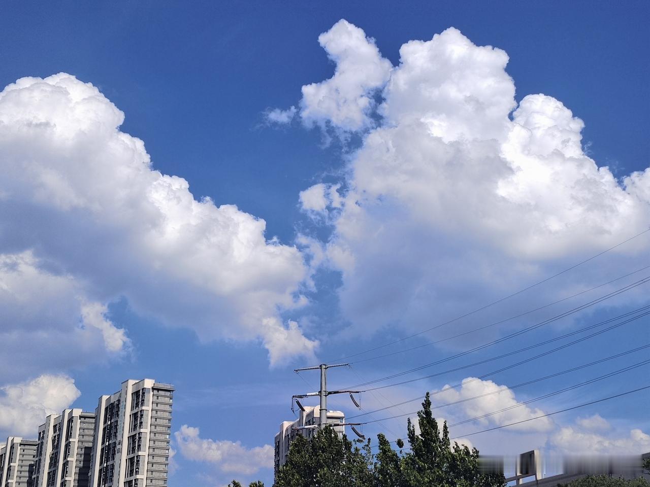 我是老家是安徽人，今天在楼下小超市买盐，以下是与小超市老板的对话：

我：老板买