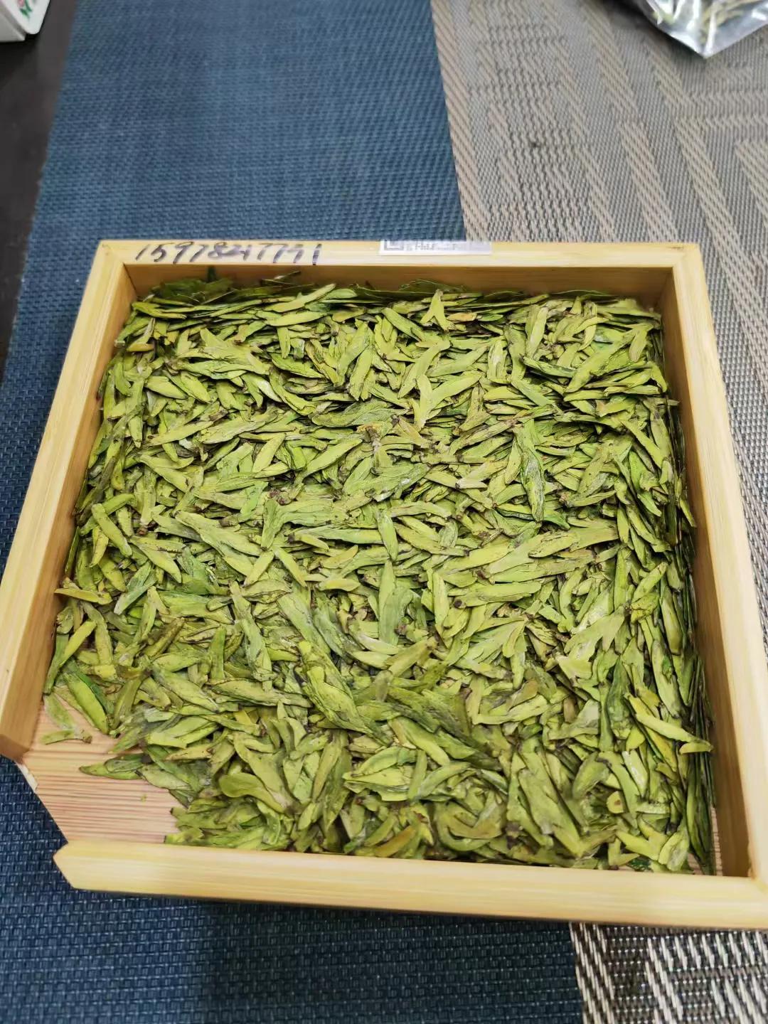 头采春茶乌牛早