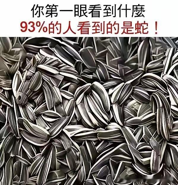 天王老子来了也是一堆瓜子
