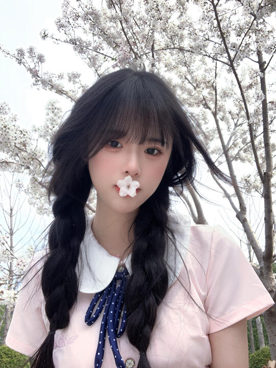 樱花树下🌸