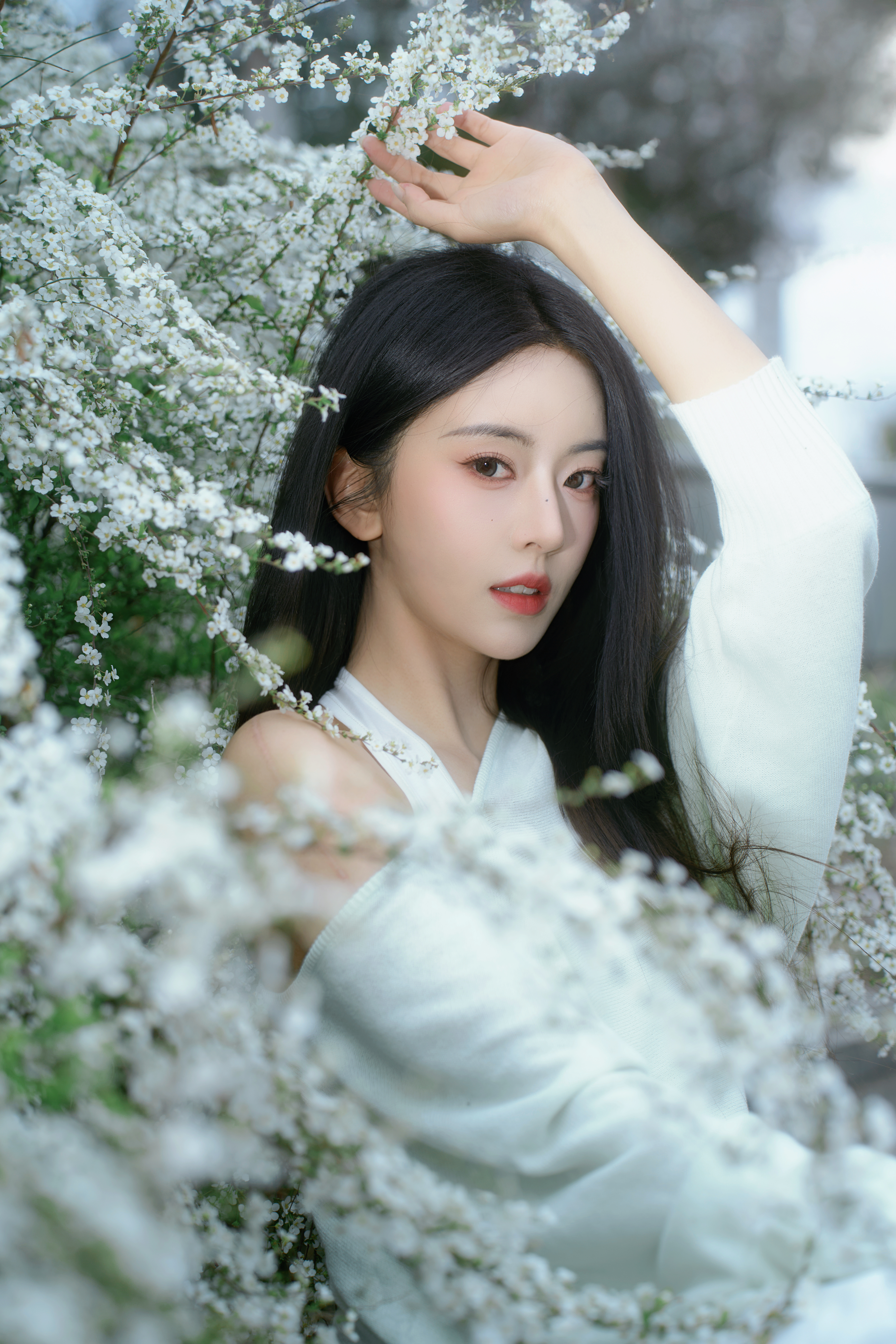 雪柳🍃 