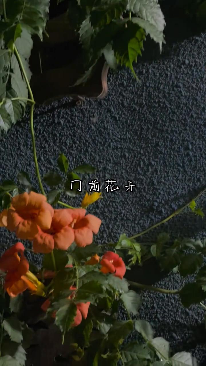 门前花开。