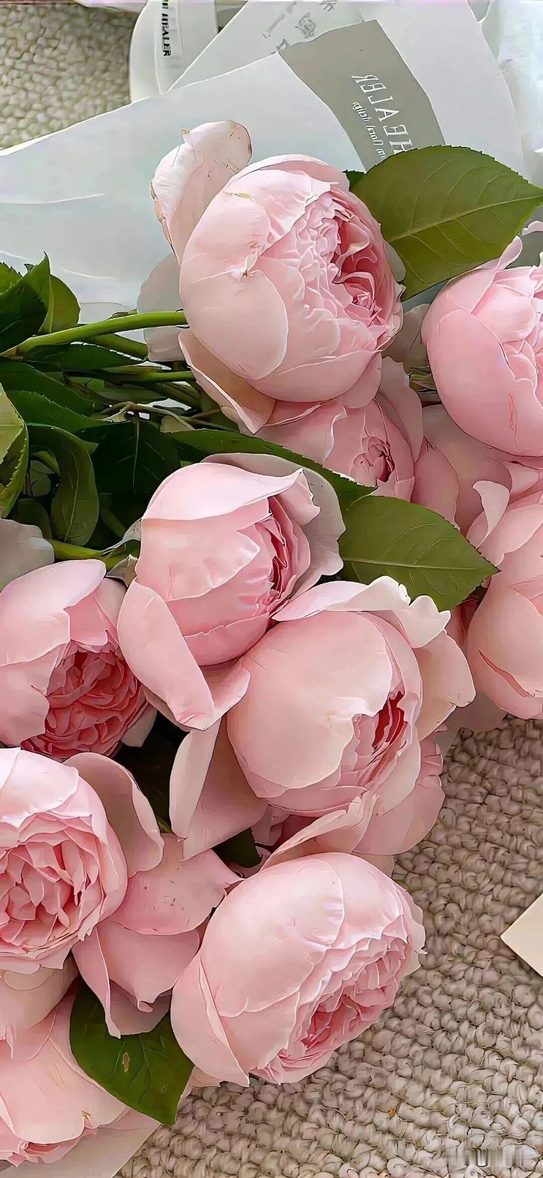 比起依赖他人、押注外物，投资自己永远更可靠。你的能力、眼界和格局，会成为最硬的底