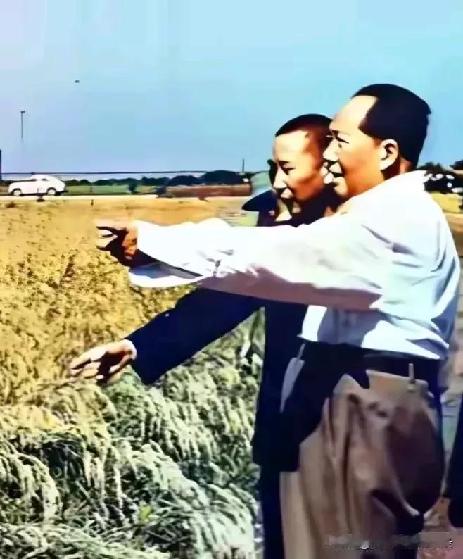 毛主席说:在中国这要有了粮食:钢铁:有了这两样东西什么都不怕，还怕什么呢。   