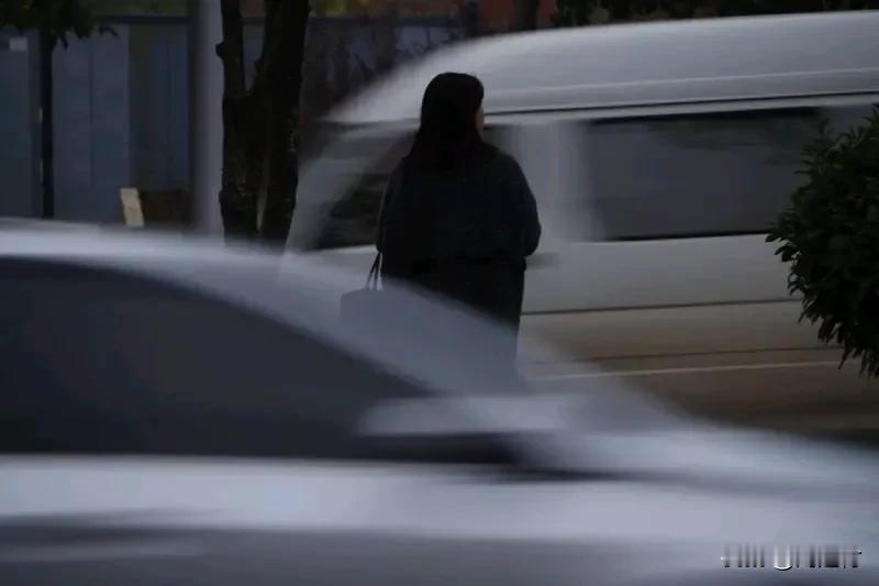 成都女子家门口遇害案一审开庭 成都女子家门口遇害案一审开庭
“成都27岁女子家门