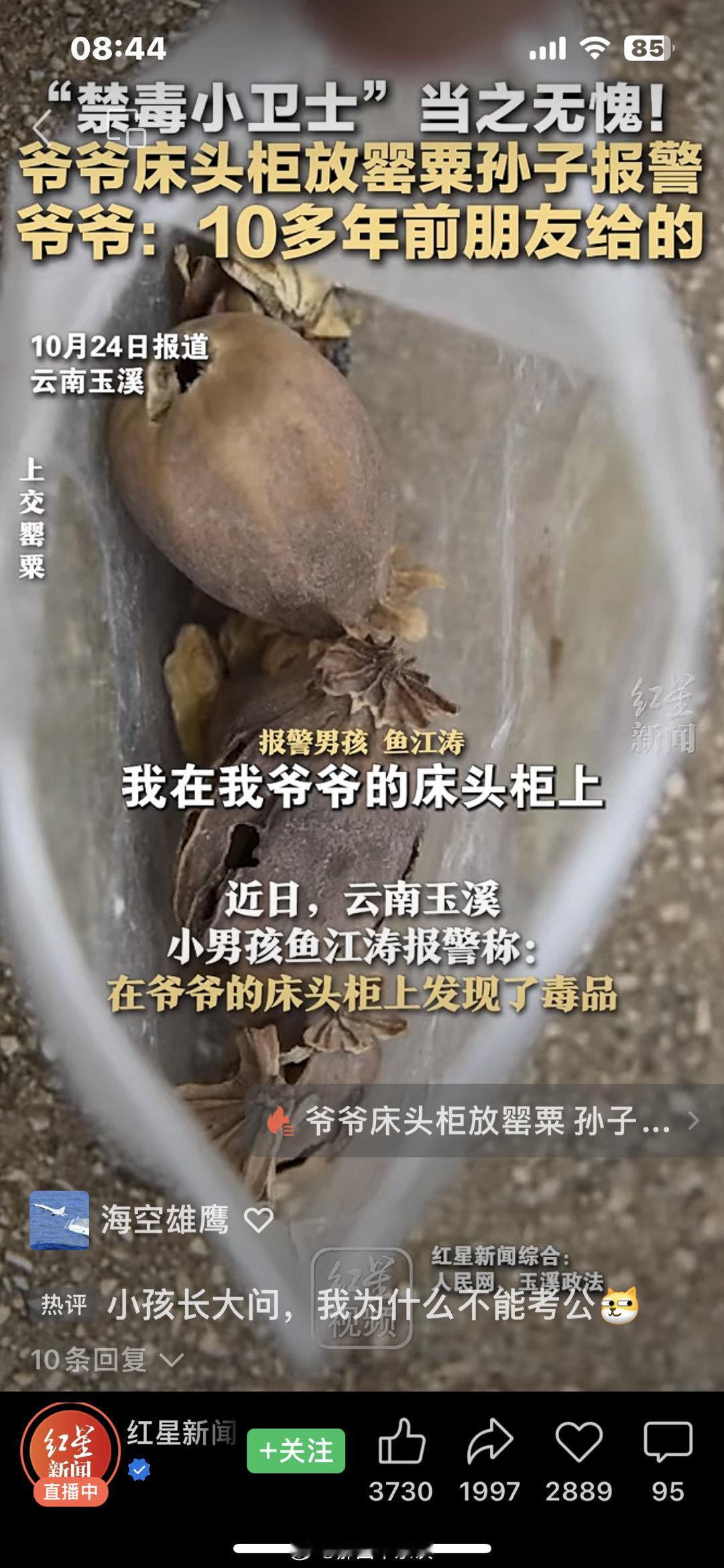 孙子举报爷爷床头柜上有罂粟，民警去学校给孩子颁奖，授予＂禁毒小卫士＂称号！[go
