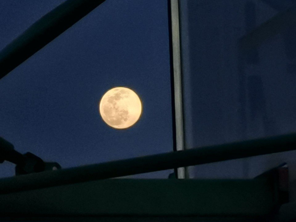 你是我希望的唯一星辰，跃然而高悬，永不陨落。 ​​​