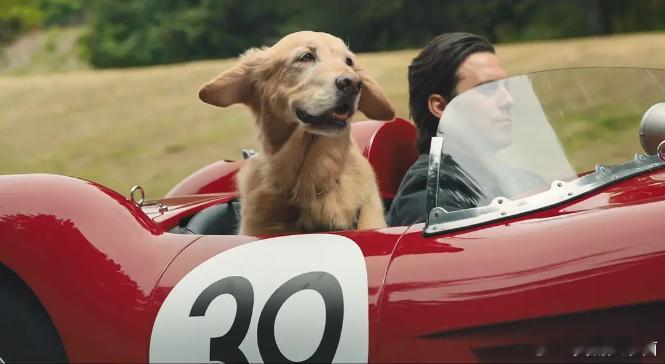 #周二顺利#早！ ​​​