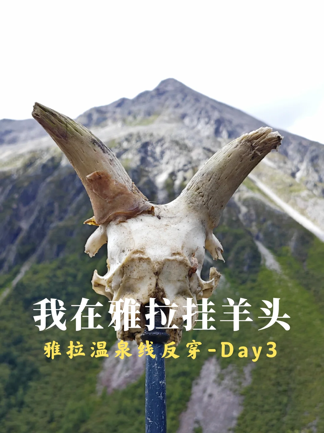 雅拉温泉线：D3我在雅拉挂羊头，没卖狗肉
