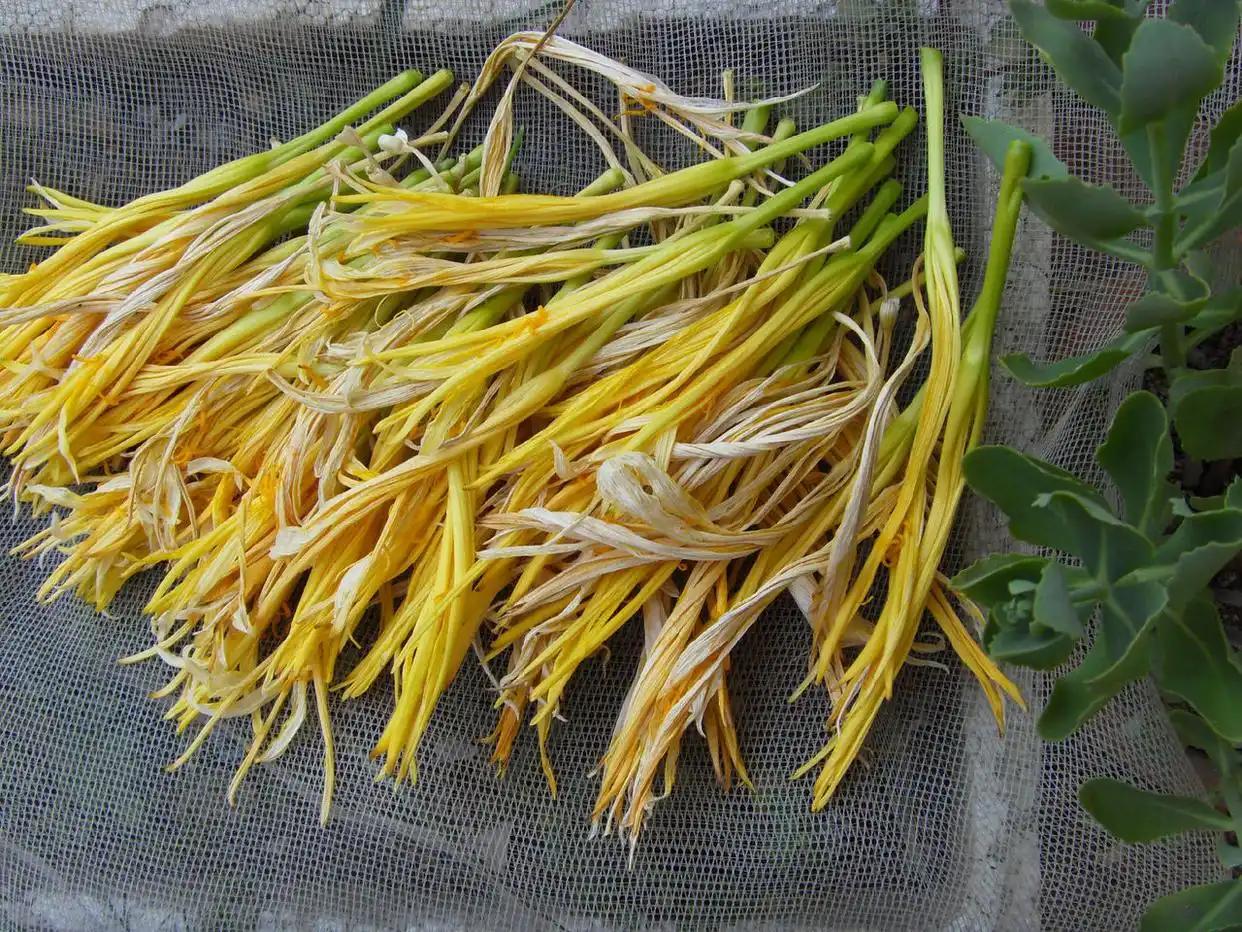 冷知识：我们常说的 "忘忧草"，其实就是平时吃的黄花菜？

你肯定听过 "忘忧草