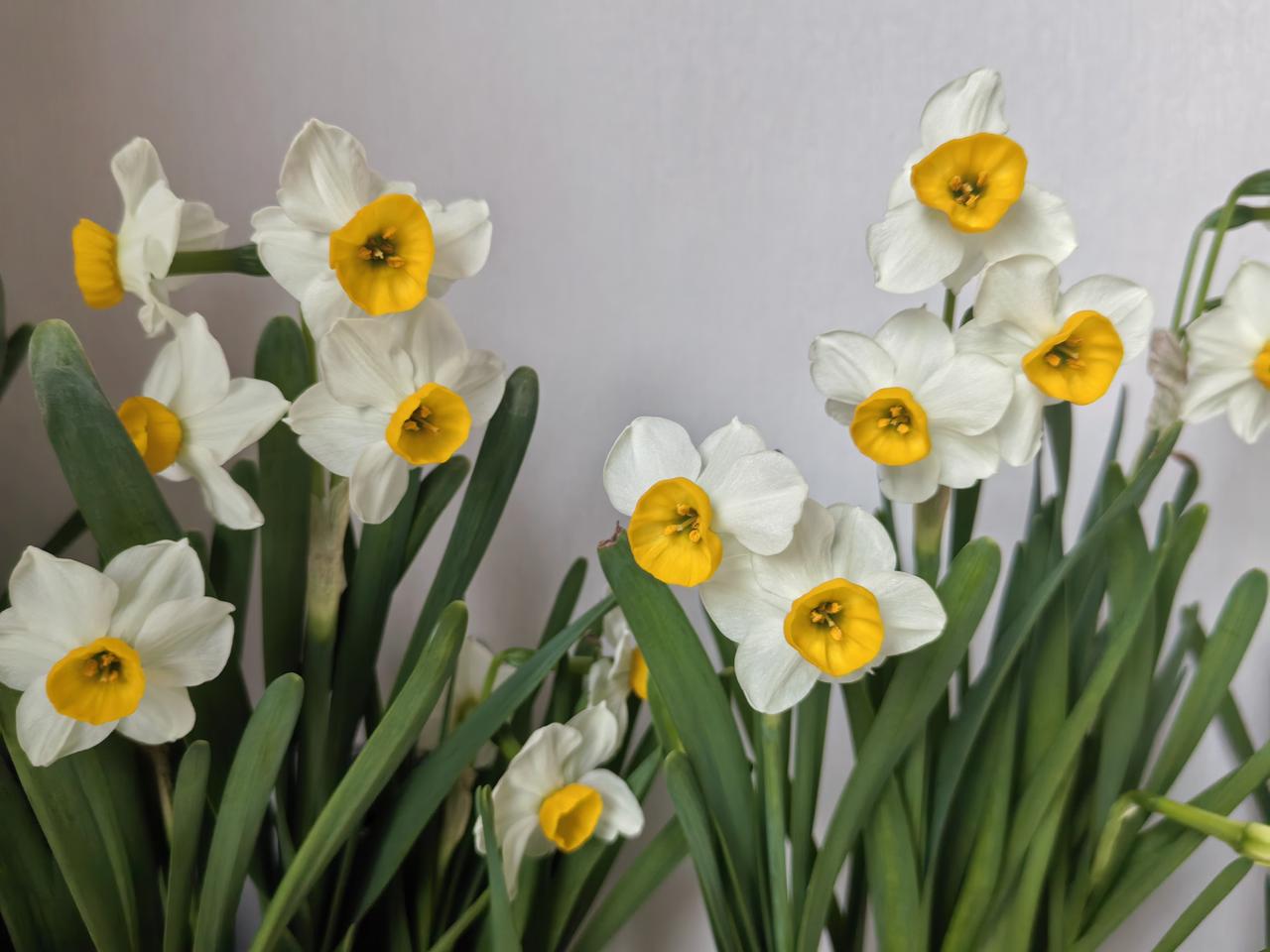 我能接受自己老去的模样，可是我的亲友不能。

春节期间走亲戚，发生了非常不愉快的