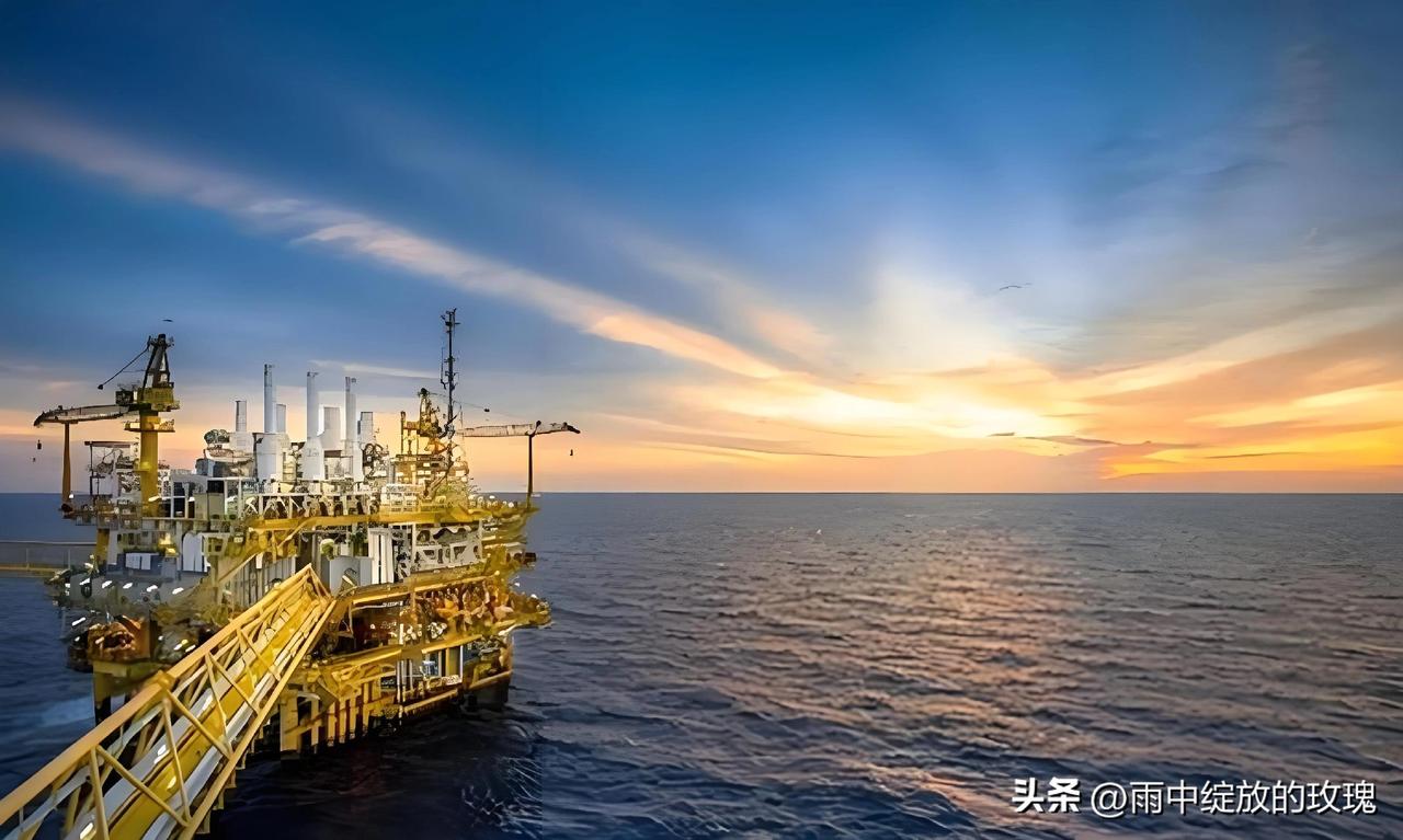 菲律宾官宣：全国进入能源紧急状态，这次是真扛不住了
 
很多人还没注意到，东南亚