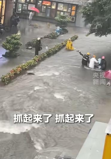 5月15号下午两点左右，广州越秀区突然下起来大暴雨，雨下得特别急，没一会儿农林下