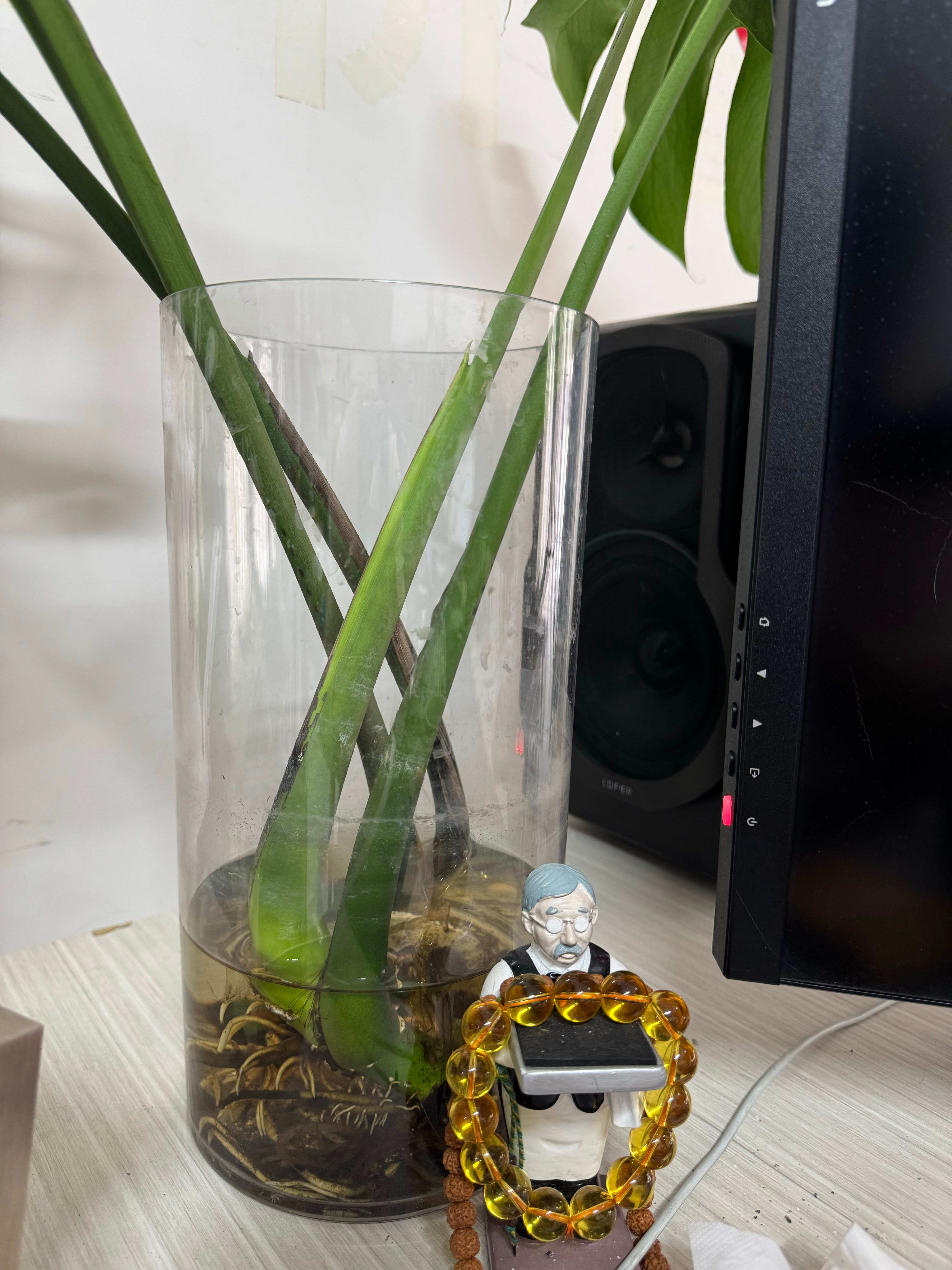 真就挺没意思的。之前买了个亚克力花瓶，用起来不错，大概17块钱左右，寻思去多多再