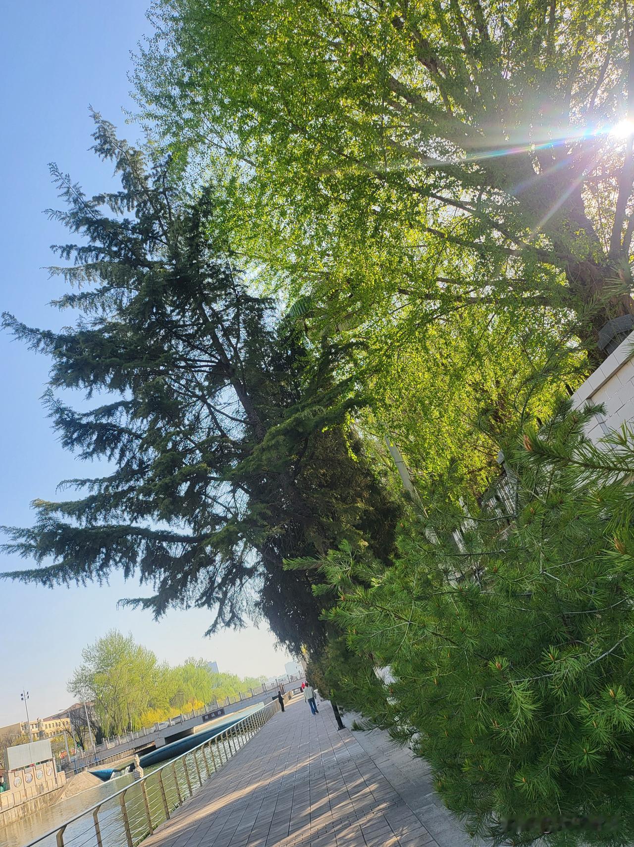 分享一张你手机里最近拍的风景照突然觉得，人间值得的瞬间，往往不需要任何理由。