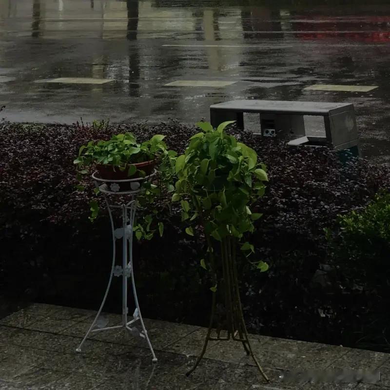 看到这个上联“风风雨雨风雨常伴”，感觉特别有意境，有一种风雨一直相随的沧桑感。我