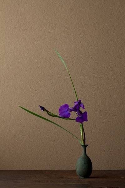 一花一净土，一念心清净。 ​​​