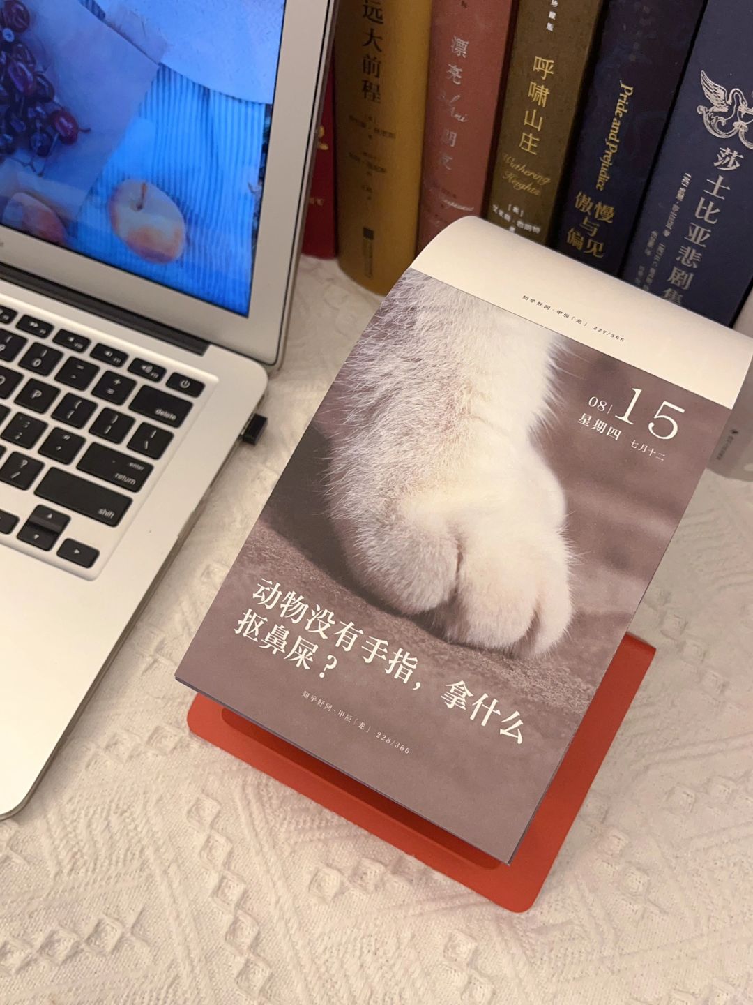 我宣布❗️2024年日历承包了我一整年的快乐！