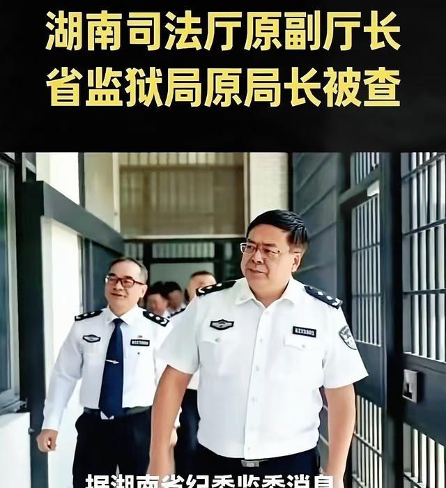管监狱的“大老虎”自己进去了，这剧情真是讽刺到家了。

湖南钟艺兵、江苏于爱荣，
