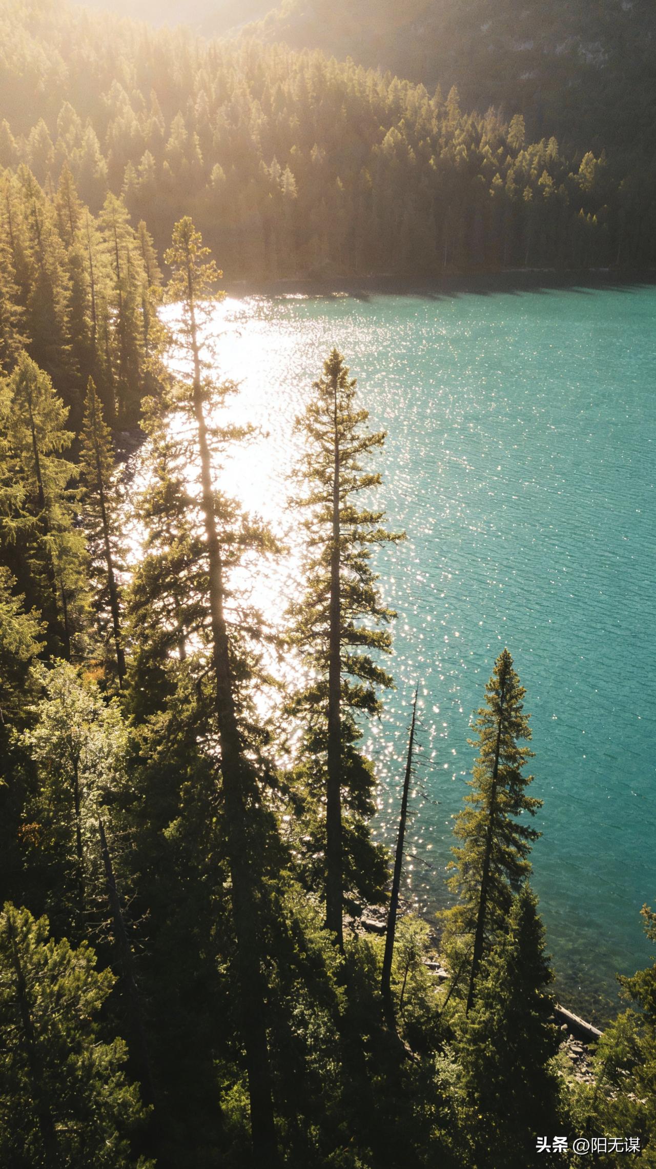 一位网友说：
“我身边有几位单身离异的女性朋友，她们的婚恋观和生活态度，实在让人