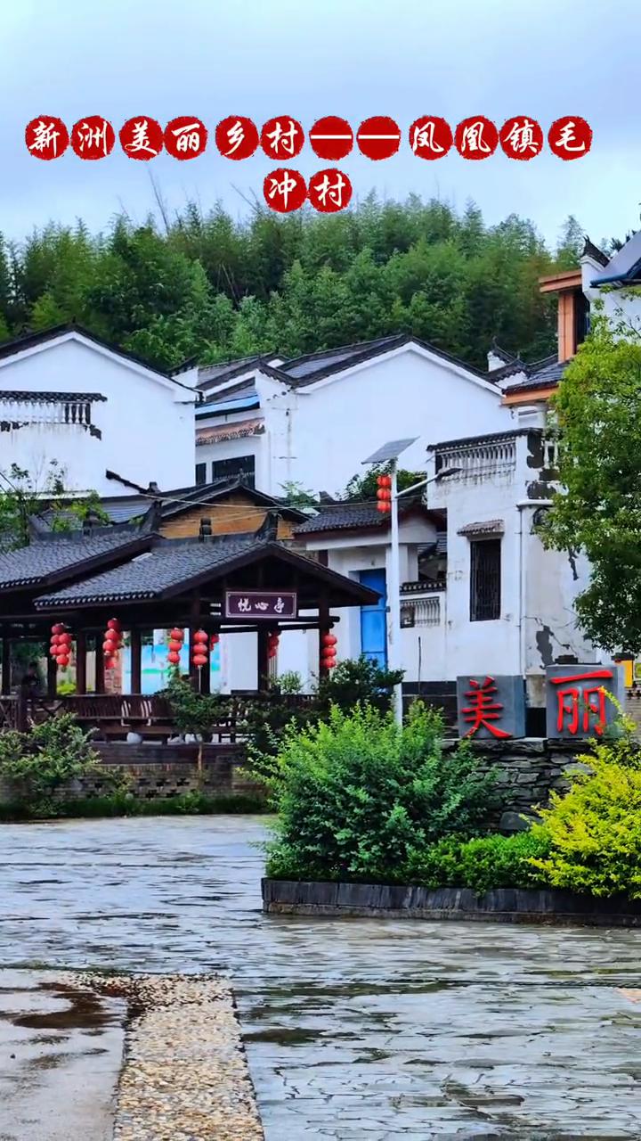 新洲美丽乡村：凤凰镇毛冲村。