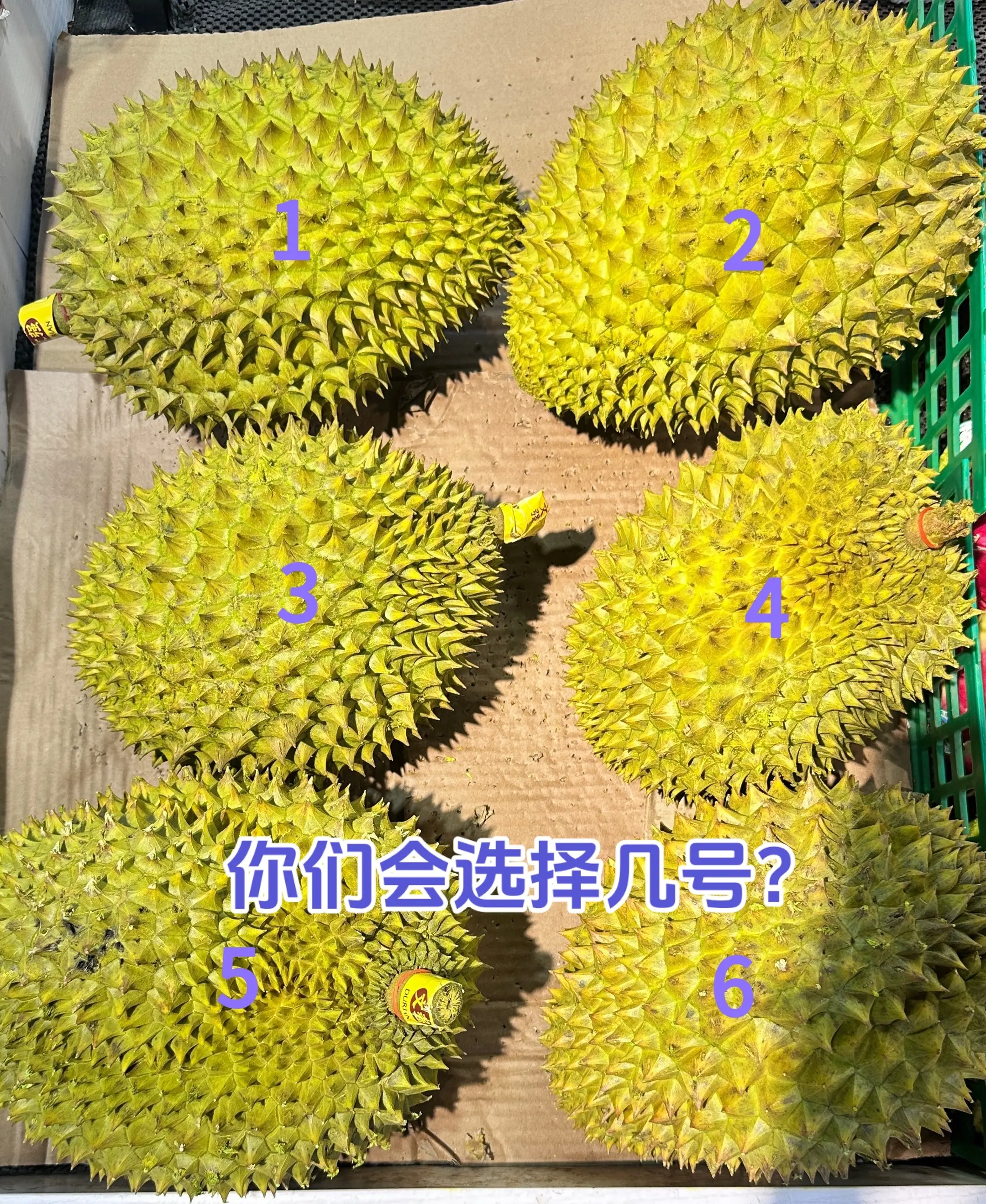 有给报销的吗😂