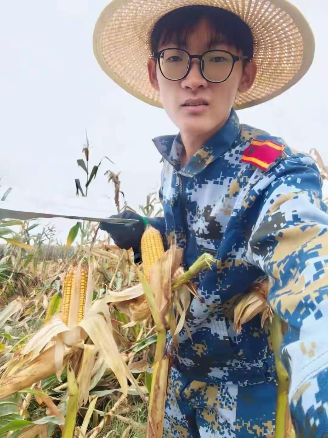 山东19岁大学生国庆8天狂掰7天半玉米拒绝百万流量诱惑：我要用代码改变农业而不是