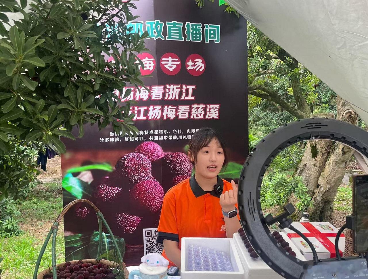 宁波向全球15天寄出3300吨杨梅 6月1日至15日，叠加杨梅上市与618大促，