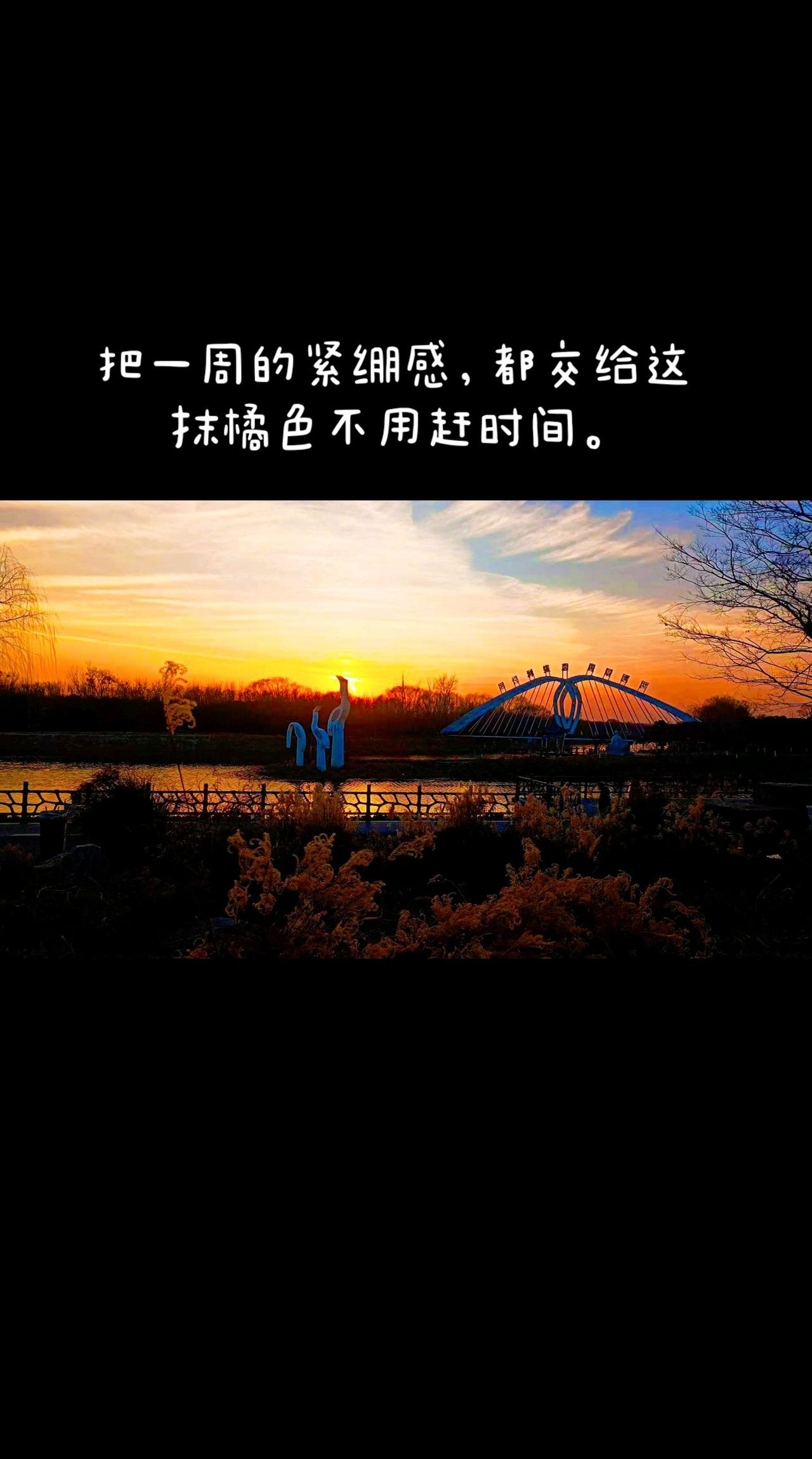 河畔风光记录
